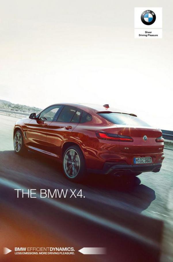 BMW X4  . BMW (2021-12-31-2021-12-31)