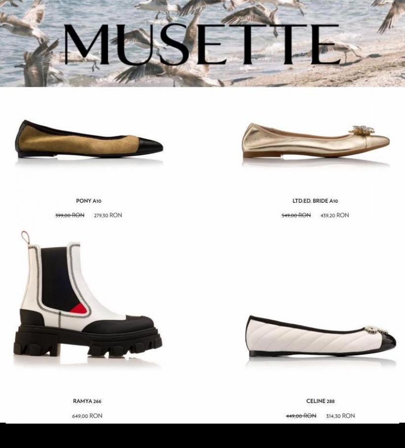 Winter sales. Musette (2022-01-14-2022-01-14)