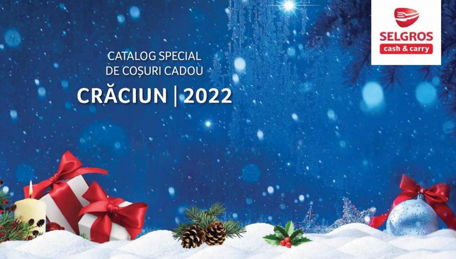 Catalog Selgros. Selgros (2022-12-31-2022-12-31)