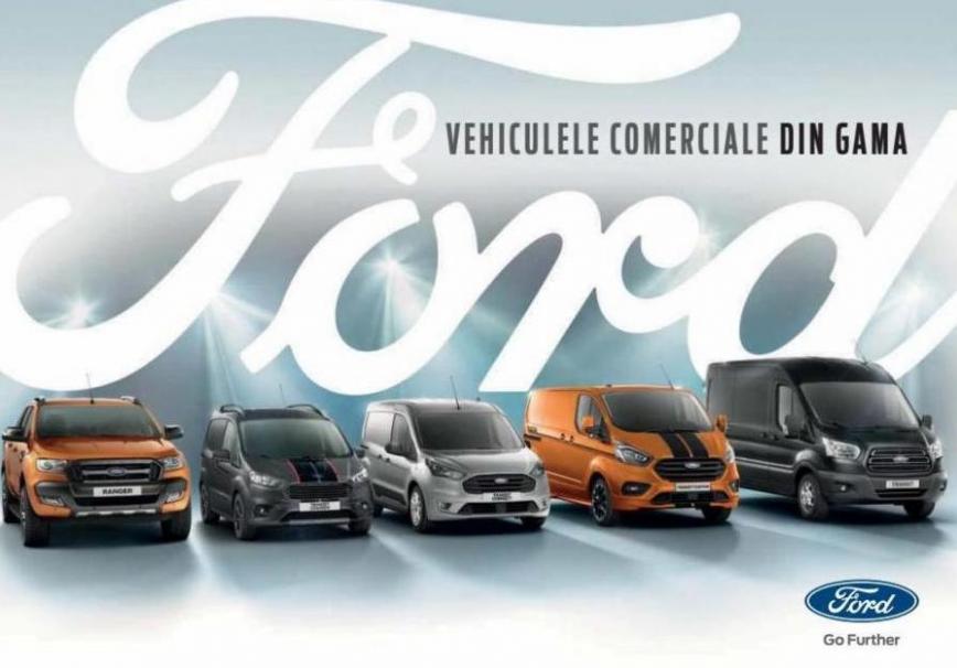 Vehicule Comerciale. Ford (2023-12-31-2023-12-31)