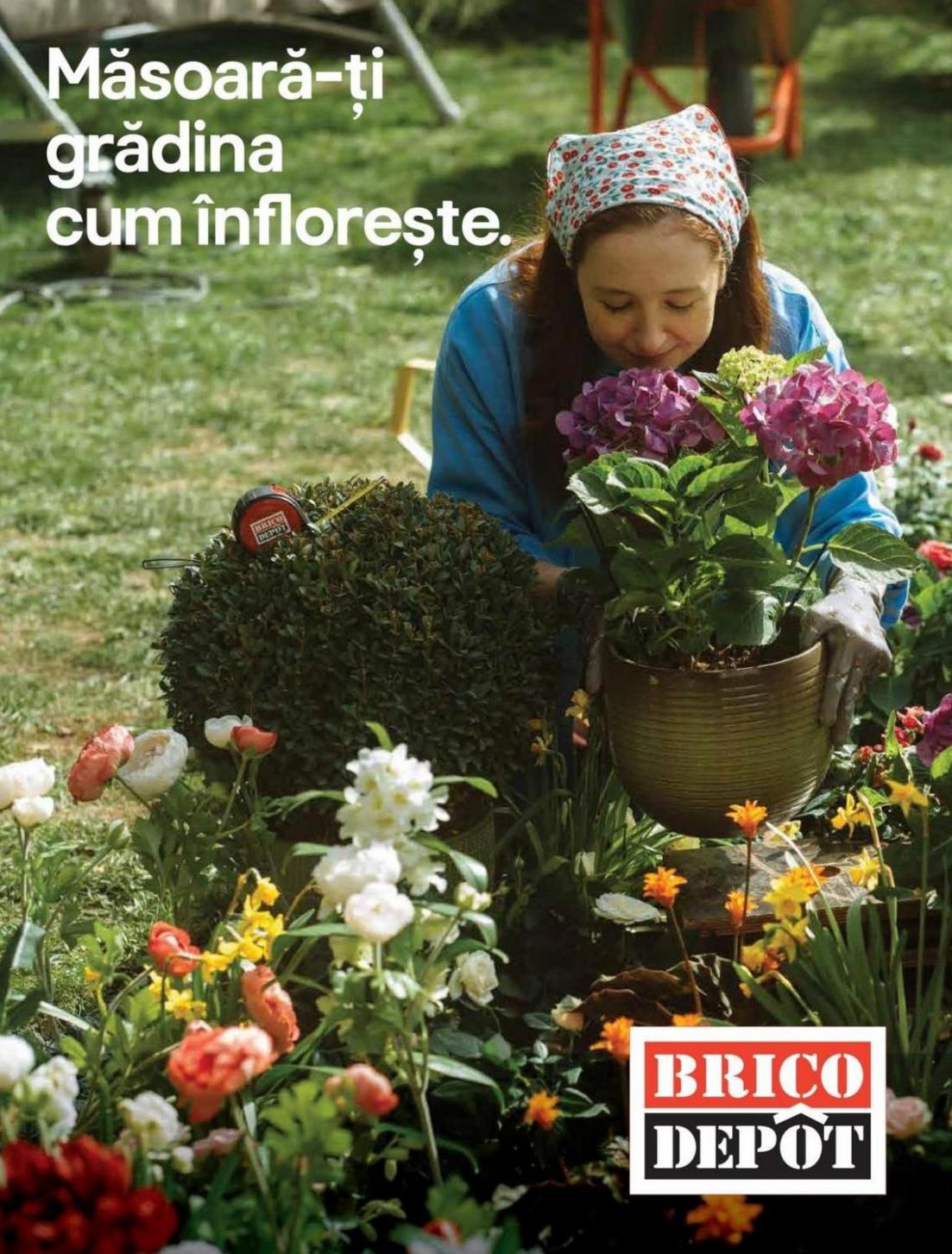 Măsoăra-ți grădina cum înflorește. Brico Depôt (2024-06-30-2024-06-30)