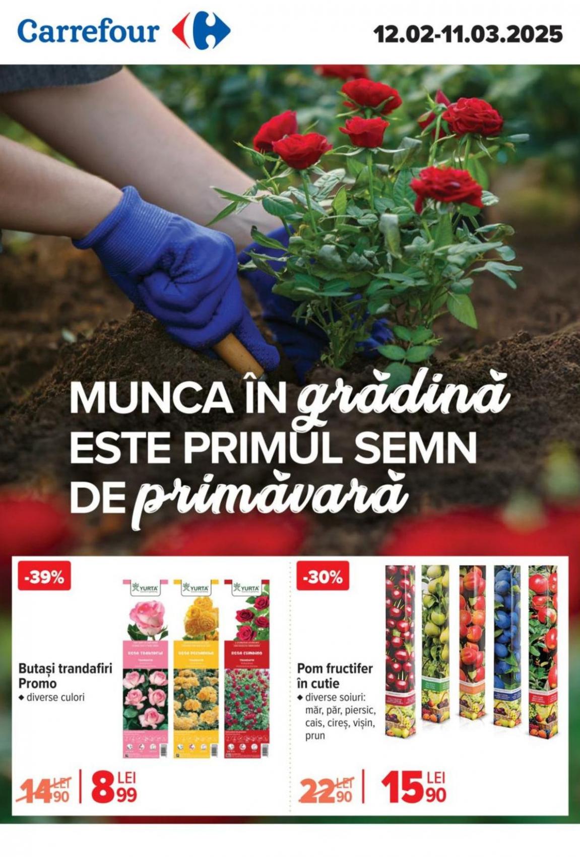 Oferte speciale pentru dumneavoastră. Carrefour (2025-02-26-2025-02-26)